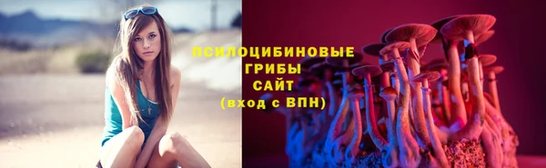 спиды Алзамай